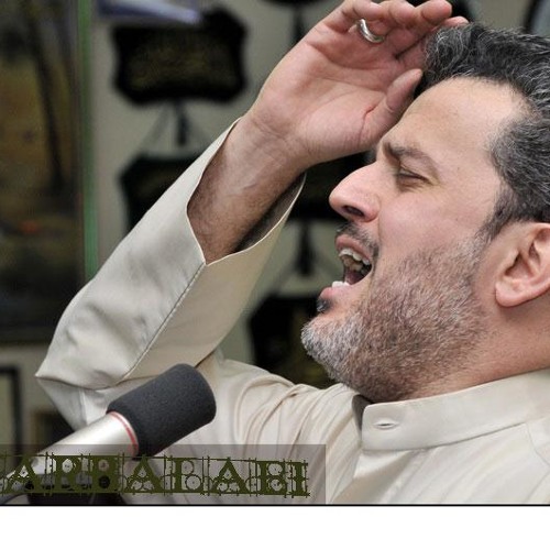عالدنيا زينب اشرقت - باسم الكربلائي