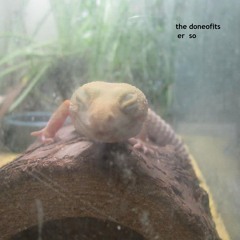 The Doneofits - Er So (2013)