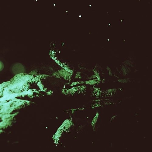 Henry Saiz - Of Muses & Slaves (Santi Mossman & Rodrigo Mateo Remix) - Natura Sonoris  -