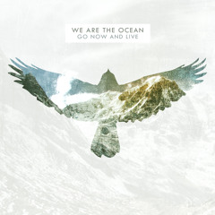 We Are The Ocean - "The Waiting Room"