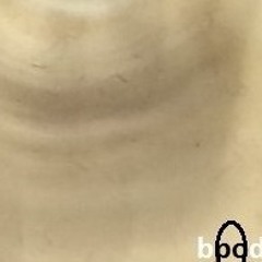 bpod - Hard Night-Hot Morning - Afterhour