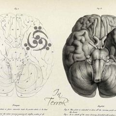 In Terror - Sensum Terror (Demo)