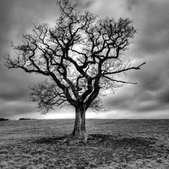 Theory Music - Not Myself (cover) feat. Ryan Jarnagain