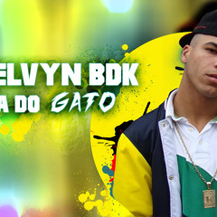 MC Kelvyn BDK - Toca Do Gato (STUDIO DG By DjjuninhoVM e DJ Saldinha)