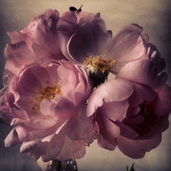 Sólo los mas viscosos pueden correr sin resbalar