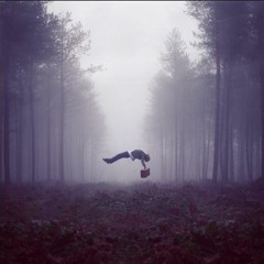 Dreamer