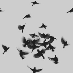 Arrival of the Birds (Cinematic Orchestra cover)