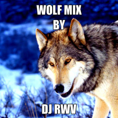 WOLF MIX BY DJ RWV
