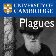 Plagues & Economic Collapse