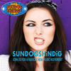 SELFIE (remix) Chain Smokers vs. SUNDOG SHINDIG