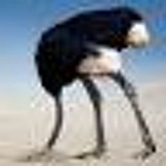 HITCHHIKERS GUIDE TO GROOVE - 2 Edit Guest Mix - PART 1