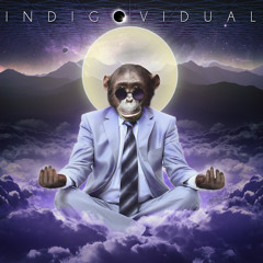 Indigovidual