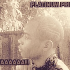Platinum Prince - Saka