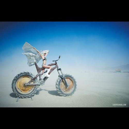 Trainbrains collected Psytrance DJ-Mixes