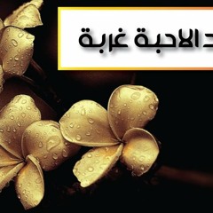 رحل الكرى ( ابو علي - ابو مهند )