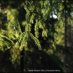 Mahdi Khaleel Talib x Chordeiles Minor - II