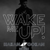 Avicii - Wake Me Up (Hakan Gökan Re-Mix) 2014