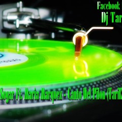 Milk And Sugar Ft. Maria Marquez - Canto Del Pilon (TariKara Mix) 2014
