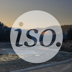RY X - Shortline (isoline. Remix)