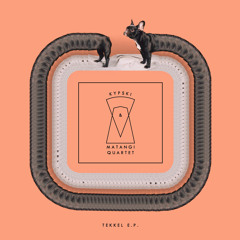 02. Kypski & Matangi Quartet - TEKKEL (Julien Mier Remix)