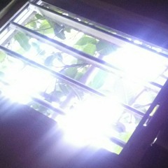 Que bandera es esa a Guaynabo bo bou