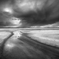 in the eye of the storm