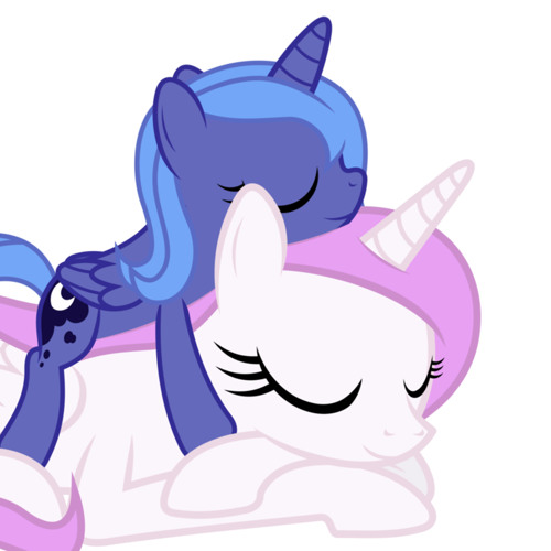 filly/colt