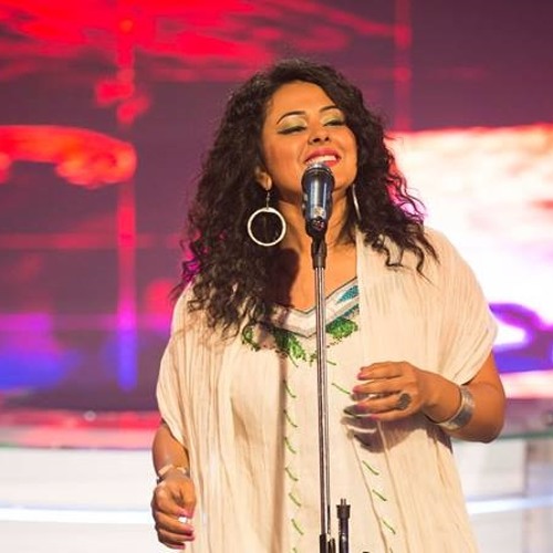 يعني ايه كلمة وطن - مشروع النيل - دينا الوديدي - البرنامج