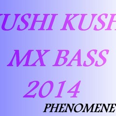 KUSHI KUSHI MX BASS 2014