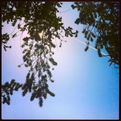 Tropicalia