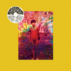 Catavento - Lost Youth Against The Rush - 08 Cactus