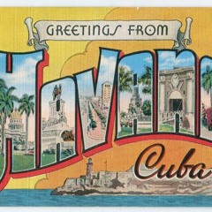 Havana Nights