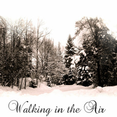Walking in the Air (Howard Blake Cover)