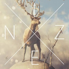 Noize&Azump - Wahrheit