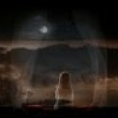 Mohamed Abd El Ghany حاله غريبه جوايه