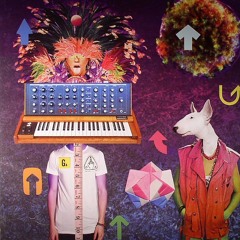 Timmy Stewart - The Popular Peoples Front