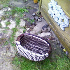 15_Ой вилетів воробей