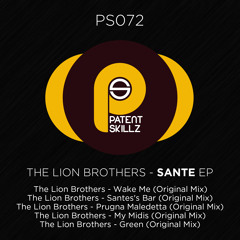 The Lion Brothers - Wake Me (Original Mix) PS072