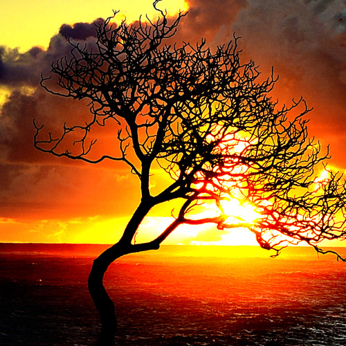 Dreams (the long edit list)