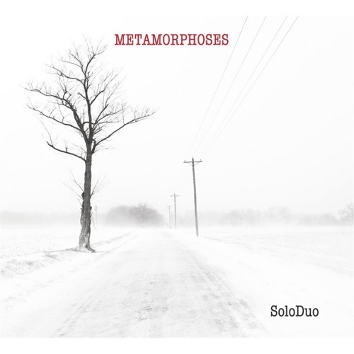 Stream French Suite No. 5, BWV 816 I. Allemande by Lorenzo Micheli