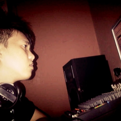 THE HAM - HAM'S - WRECKING BALL COVER MILEY