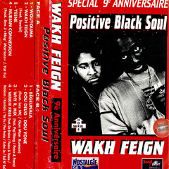 Positive Black Soul «Wouyouma» (Senegal)