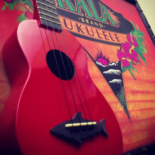 Stream My Dog Has Fleas by Big Blue Guitar Listen online for free on