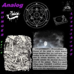 Analog - Cunning Lynguist