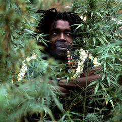 *****\\\ILLEGAL DUB (Feat. Peter Tosh) HAPPY 420 2014 FREE DL///*****