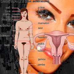 Tuto FR - Comment baiser une pute dans GTA San Andreas