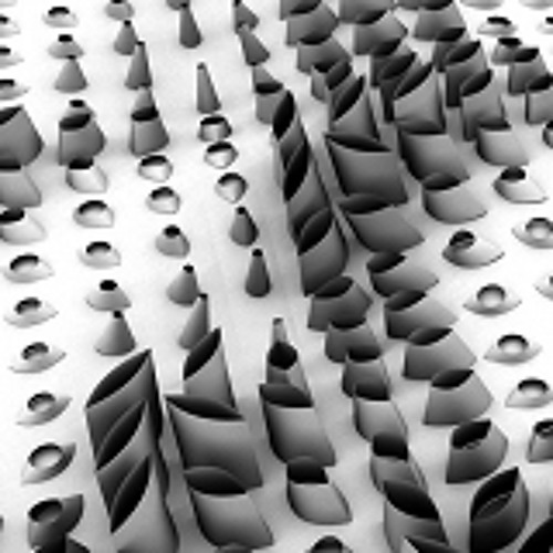 Didactic Nature