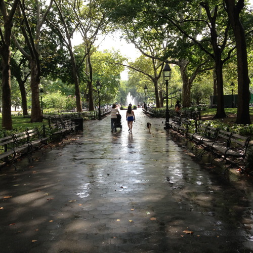 mark and tom - the rain stopped