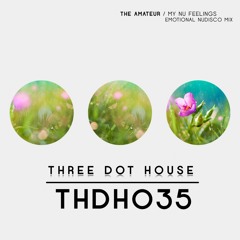 THDH035 : The Amateur - My Nu Feelings (Emotional Nu Disco Mix)