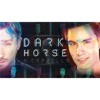 Dark Horse - Sam Tsui & Peter Hollens